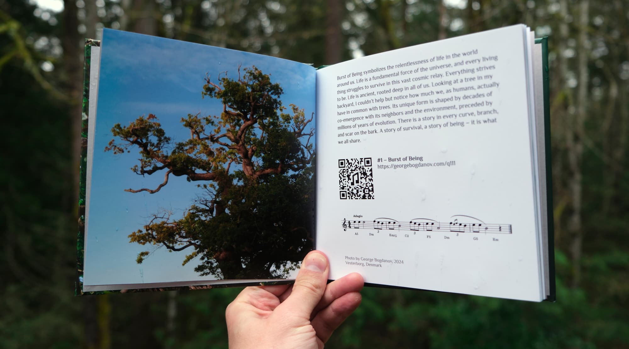 Burst of Being - Music & Photo Book