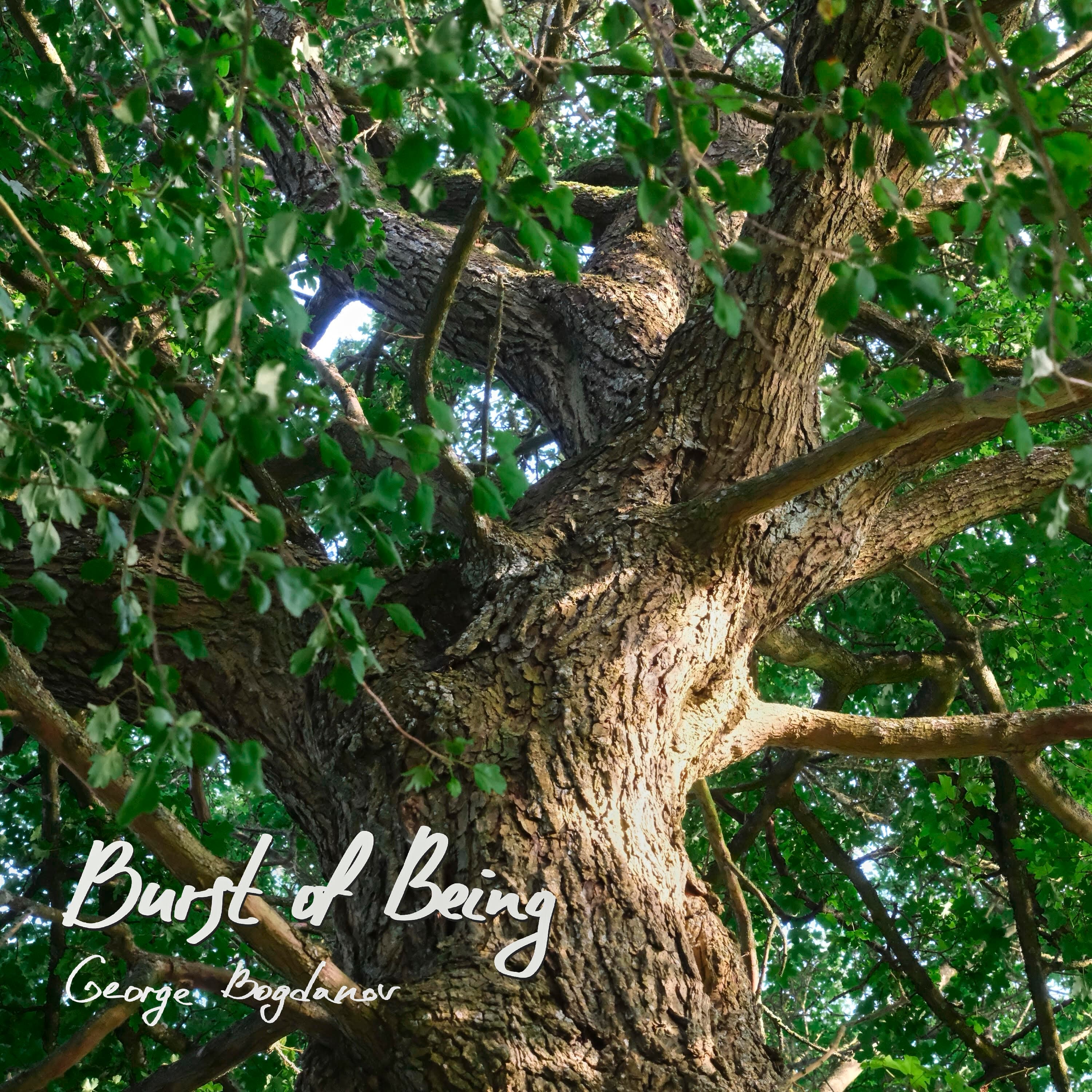 Burst of Being - Album Cover